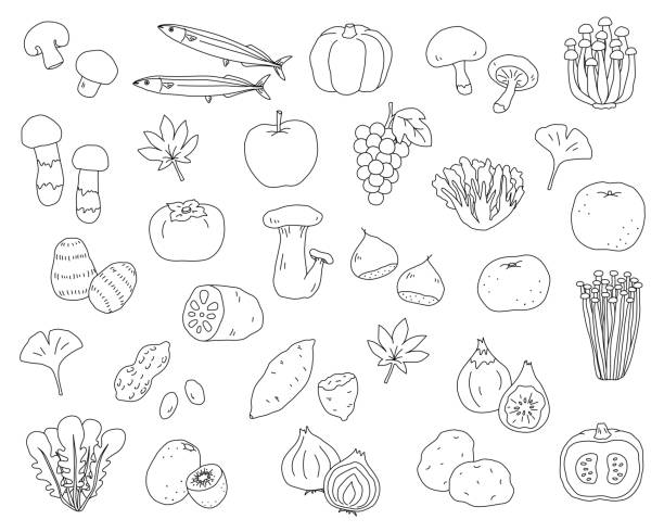 Set of hand drawn illustrations of autumn foods Set of hand drawn illustrations of autumn foods enoki mushroom stock illustrations