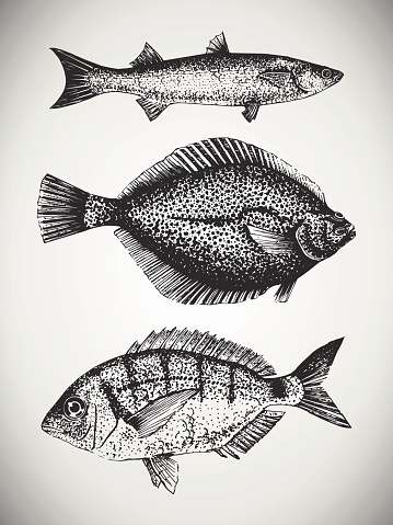 Set of hand drawn sea fishes