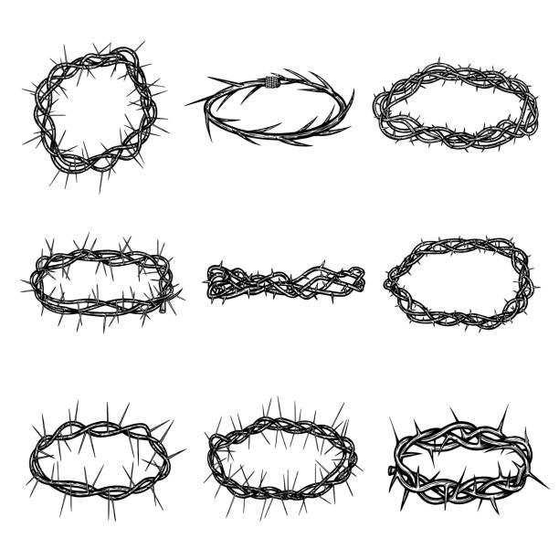 Set of hand drawn thorn crowns, wreaths with sharp spikes. Christianity symbol of Jesus suffering. Set of hand drawn thorn barbed wreaths with sharp spikes. Religious holy christianity symbol of Jesus suffering. Crowns of savior head. Vector sketch collection isolated on white background. thorn stock illustrations