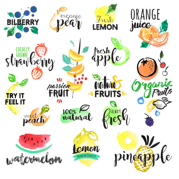 Set of hand drawn watercolor labels and stickers of fruit Set of hand drawn watercolor labels and stickers of fruit. Vector illustrations for graphic and web design, for food and drink, restaurant and bar, menu, fruit market, organic fruits. smoothie drawings stock illustrations