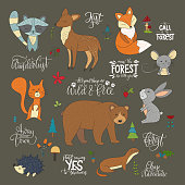 Set of hand drawn cute forest animals and lettering quotes. Vector illustrations with raccoon, squirrel, hare, mouse, bear, fox, deer, hedgehog and weasel on a dark background.