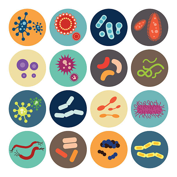 Set of icons with bacteria and virus Set of icons with bacteria and virus Anthrax stock illustrations