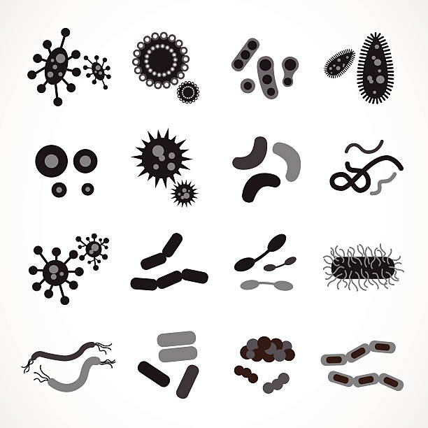 Set of icons with bacteria and virus Set of icons with bacteria and virus Anthrax stock illustrations