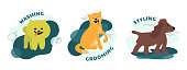 Set of dog care service icons. Concept for pet grooming, styling, washing salon. Isolated vector illustrations with happy puppies of spitz, shiba inu, spaniel. Design of domestic animals for pet shop.