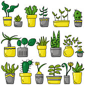 istock A set of indoor various plants in a doodle style, different types of blooming and not only indoor plants in bright gray and yellow pots 1316922420