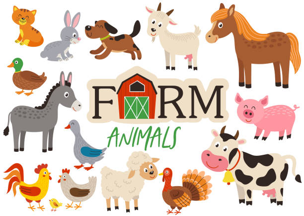stockillustraties, clipart, cartoons en iconen met set van geïsoleerde schattige boerderij dieren - gedomesticeerde dieren