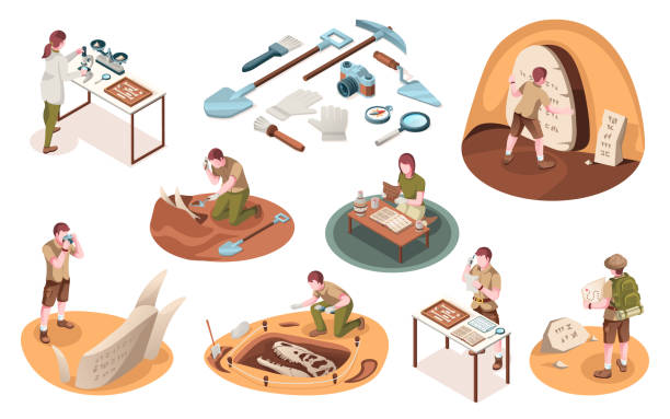 Set of isolated icons for archeology job and paleontology profession. Isometric signs with archeologist and paleontologist with dinosaur bones. Archaeologist tools, brush, shovel. Dig and excavation Set of isolated icons for archeology job and paleontology profession. Isometric signs with archeologist and paleontologist with dinosaur bones. Archaeologist tools, brush, shovel. Dig and excavation archaeology stock illustrations