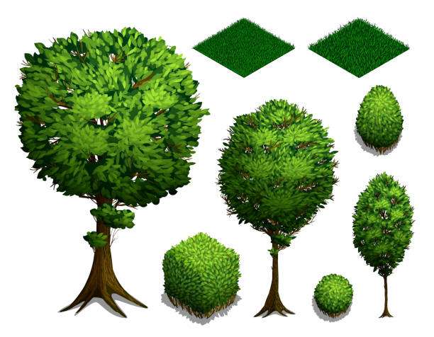 ilustrações, clipart, desenhos animados e ícones de conjunto de árvores isométricas. realistas isométricos arbustos, árvores e grama, isolado no fundo branco. ícone do plano isométrico. ilustração vetorial - tree 3d