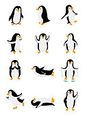 Set of little penguins in different poses. Funny animals isolated on white background. Cartoon characters vector illustration. Zoo clipart