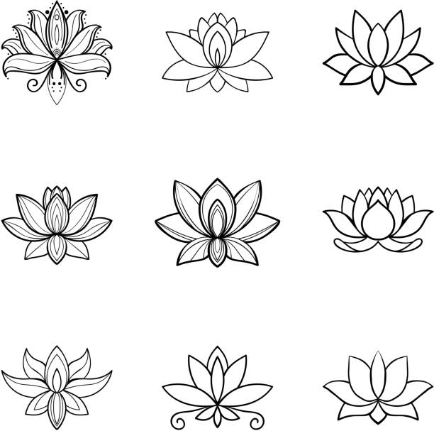 로터스 꽃 아이콘의 집합입니다. 스파 기호입니다. 요가 디자인 - 꽃 나무 stock illustrations