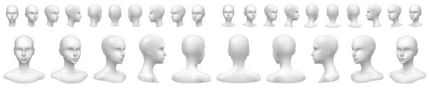 Set of mannequin busts and heads. Isolated vector set of faceless mannequin busts and heads. mannequin stock illustrations