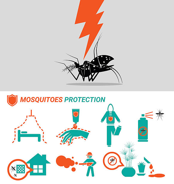 stockillustraties, clipart, cartoons en iconen met set of mosquitoes protection concept - malaria