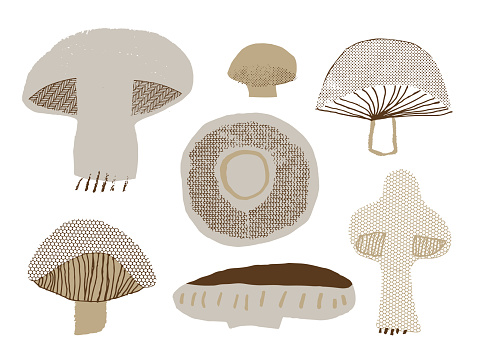 Set of mushrooms