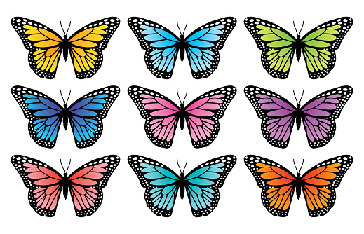 Vector illustration of a set of nine colorful butterflies on a white background.