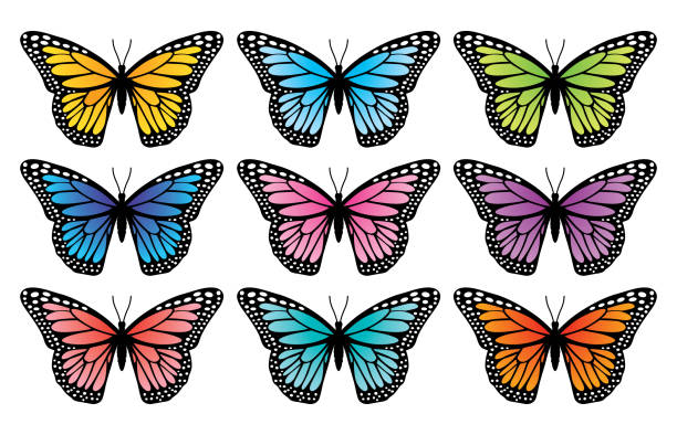 Set Of Nine Colorful Monarch Butterflies Vector illustration of a set of nine colorful butterflies on a white background. pink monarch butterfly stock illustrations
