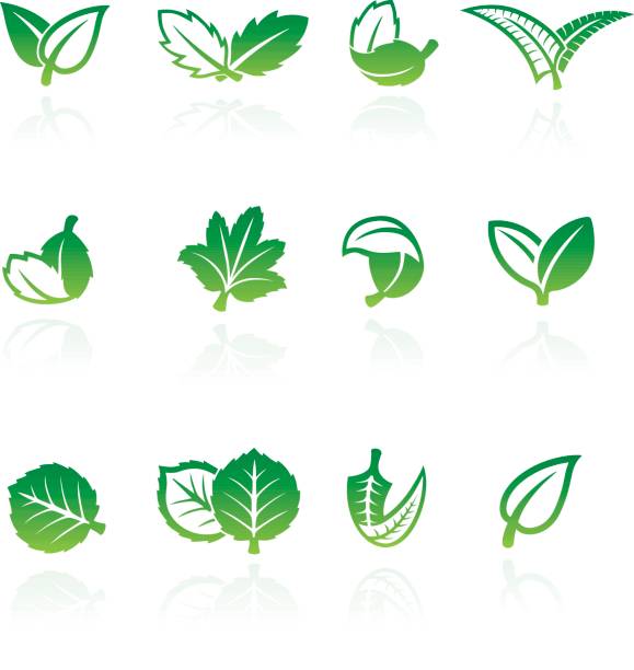 Set of nine green and white vector leaf illustration vector art illustration