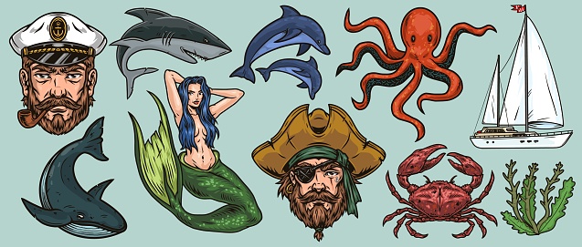 A set of old illustrations on the marine theme isolated. Animals and sea characters. Vector