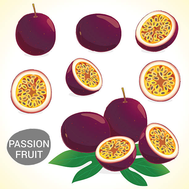 ilustrações de stock, clip art, desenhos animados e ícones de conjunto de passionfruit (maracujás) em vários estilos formato do vector - granadilla