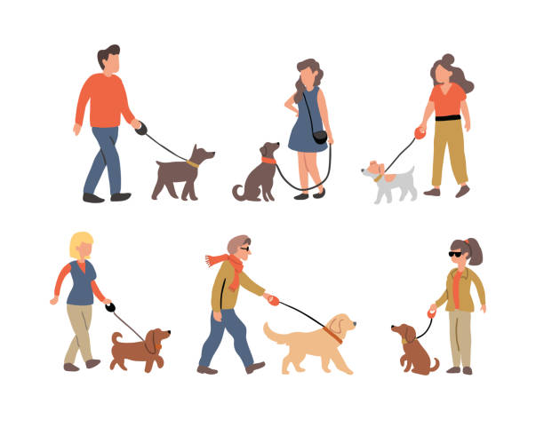 set of people dog walking dogs breeds illustration Vector illustration of the set of people dog walking with many dogs breeds.  Dog walker concept illustration in cartoon hand drawn style. dogs on the street dog walking stock illustrations