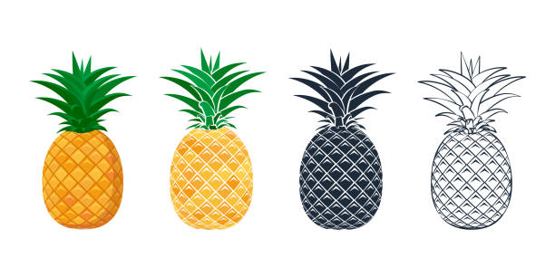 Set of pineapple icons in a flat style. Set of pineapple icons in a flat style. Contour, outline and stylized pineapples. Design for textiles, packaging, banner, poster. Vector illustration. pineapple stock illustrations