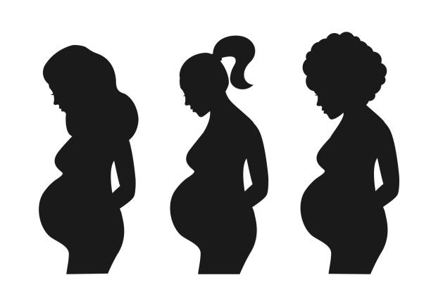 Set of pregnant women isolated on white background. Set of pregnant women isolated on white background. Silhouette of a pregnant women. Vector stock pregnant silhouettes stock illustrations