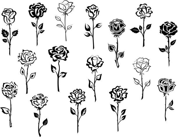 набор иконок rose - rose with stem drawings stock illustrations.