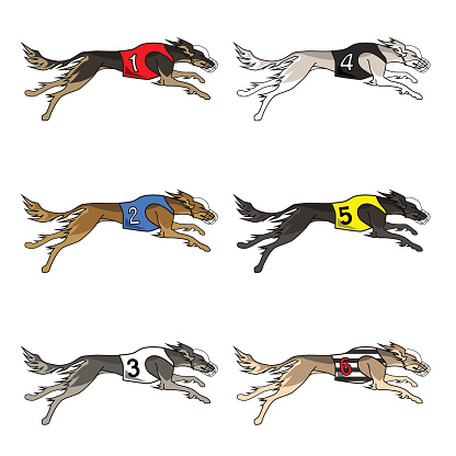 Set of running dog saluki breed