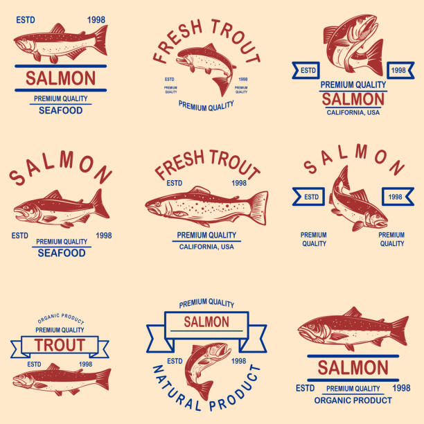 illustrations, cliparts, dessins animés et icônes de ensemble de saumon, étiquettes de fruits de mer de truite. élément de conception pour étiquette, signe, affiche, bannière. - saumon