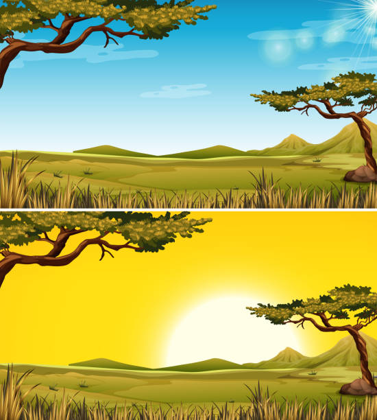 Set of Savanna landscape Set of Savanna landscape illustration grass clipart stock illustrations