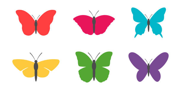 illustrazioni stock, clip art, cartoni animati e icone di tendenza di set di sagome di farfalle, illustrazione vettoriale - farfalle