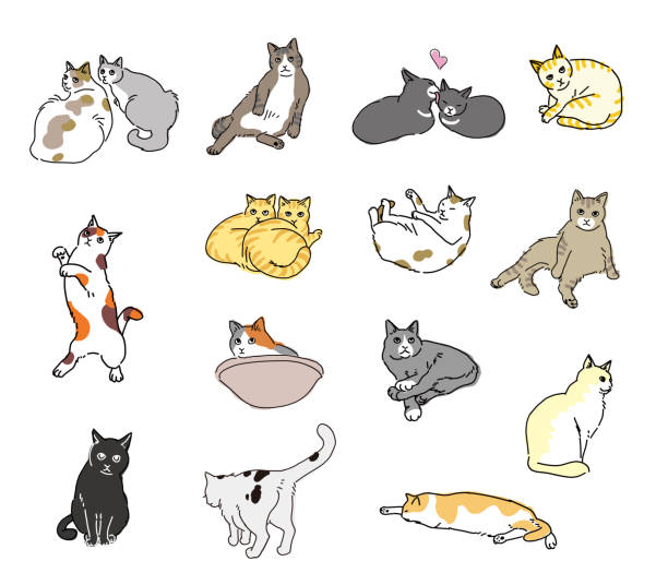シンプルでカラフルな全身猫のイラストセット。 - 野生のネコ科動物点のイラスト素材／クリップアート素材／マンガ素材／アイコン素材