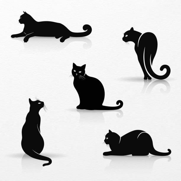 stockillustraties, clipart, cartoons en iconen met reeks gestileerde silhouetten van katten - cat