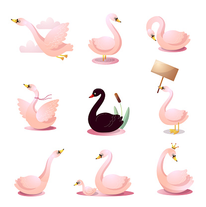 Cute cartoon set of swans in various poses. Design for the logo. print, party decoration, t-shirt, illustration, emblem or sticker Colorful raster isolated icons set