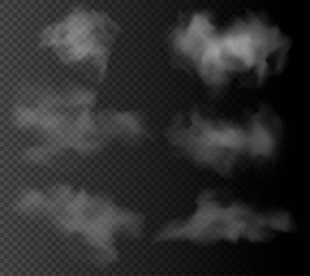 Set of the vector realistic clouds isolated on dark transparent background. Set of the vector realistic clouds isolated on dark transparent background. Clouds for night sky or another black backdrop. steam stock illustrations