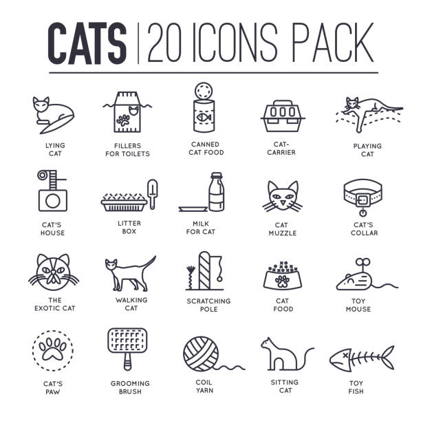 Set of thin line icons about playing, feeding of cats. Set of thin line icons about playing, feeding of cats isolated on white. Domestic animals care outline pictograms collection. Kittens toys and food logos. Pets vector elements for infographic, web. kitten litter stock illustrations