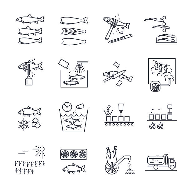 illustrations, cliparts, dessins animés et icônes de ensemble d’icônes de ligne mince traitement du poisson - filet de poisson