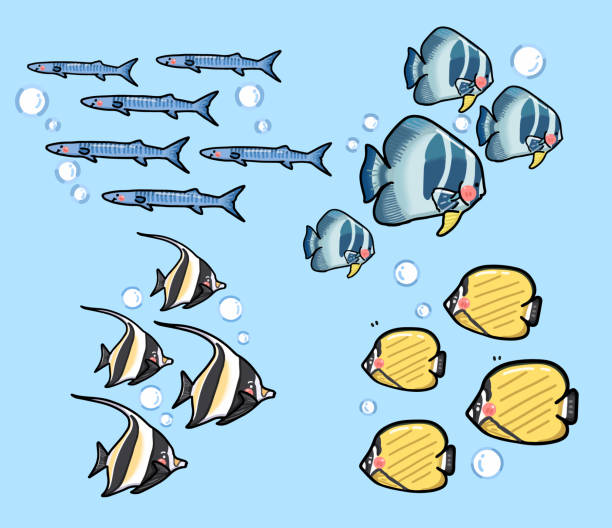 set of tropical school of fish vector, butterfly, moorish idol , barracuda and platax fish set of tropical school of fish vector, butterfly, moorish idol , barracuda and platax fish stylized underwater nature set of icons stock illustrations
