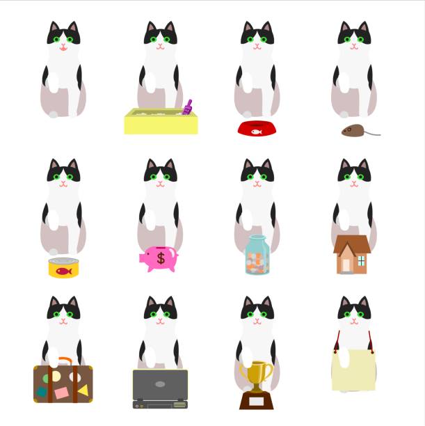 ilustrações de stock, clip art, desenhos animados e ícones de set of tuxedo cat - foster home bag