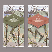 Set of two color labels with bread wheat aka Triticum aestivum, rye aka Secale cereale and field landscape sketch. Cereal plants collection. Great for bakery, agriculture, farming design.