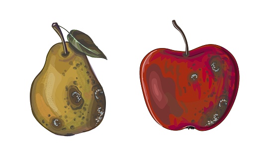 A set of two rotten fruits - a red apple and a yellow pear in the cartoon style.
