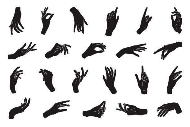 Set of various black silhouette woman hands. Vector collection of female hands of different gestures. Trendy minimal style for logos, prints, designs, illustrations Set of various black silhouette woman hands. Vector collection of female hands of different gestures. Trendy minimal style for logos, prints, designs, illustrations. hand silhouettes stock illustrations