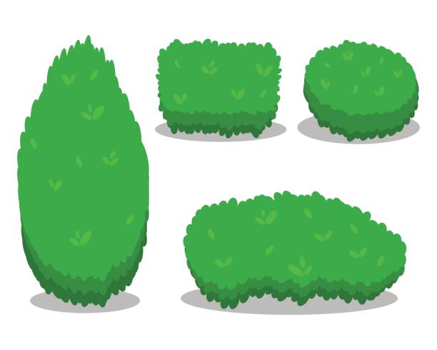 illustrations, cliparts, dessins animés et icônes de ensemble de divers arbustes isolés. cool design plat simple avec les ombres. différentes formes de buissons. illust. - haie jardin