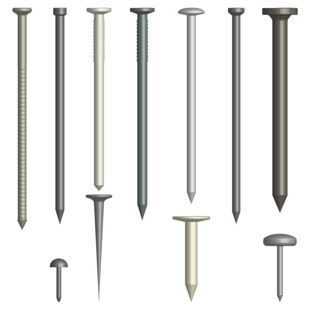 Set of various metal nails, vector illustration. Set of various metal nails isolated on white background. Front view, vector illustration. nail work tool stock illustrations