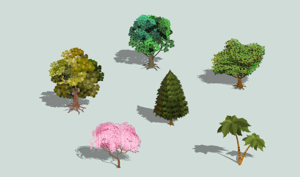 ilustrações, clipart, desenhos animados e ícones de conjunto de árvores de isométrica 3d vector com sombra. - tree 3d