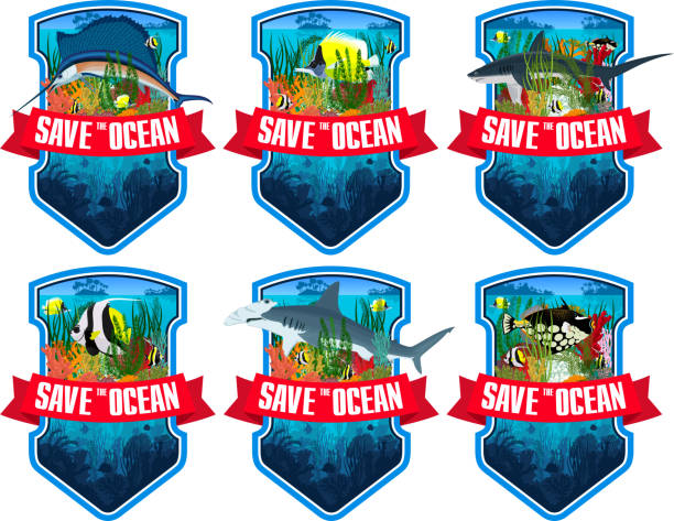 zestaw emblematów wektor z rafą koralową, kolorowymi tropikalnymi rybami, miecznikiem i rekinami - great barrier reef stock illustrations