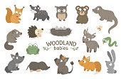 Set of vector hand drawn flat woodland baby animals. Funny animalistic collection. Cute forest illustration for children’s design, print, stationery