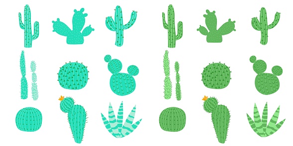 Set of vector illustrations with flat cacti two color options. Cacti with flowers.
