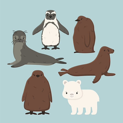 Set of vector Penguin, king penguin chick, fur seal, polar bear cub, small common seal. Isolated small cartoon cute sea and ocean animals for kids book, stickers or prints for clothes