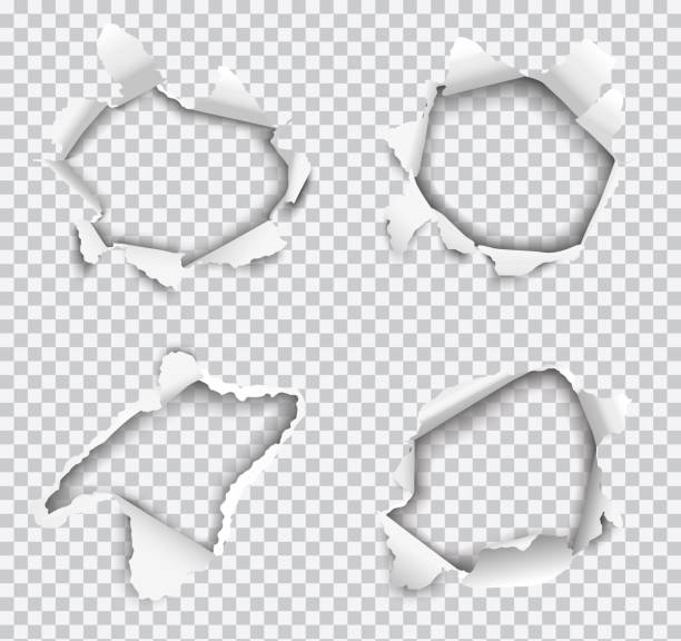 Set of vector realistic holes torn in white paper isolated on transparent background Set of vector realistic holes torn in white paper isolated on transparent background. hole stock illustrations