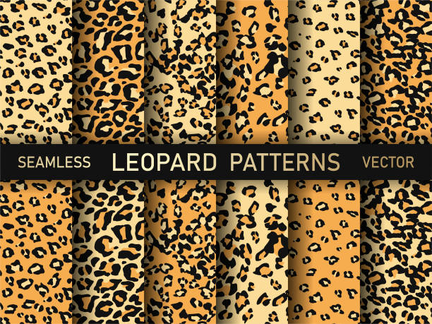 Set of vector stylish leopard animal print patterns. Collection of leopard prints. For fabric, textile, wrapping, cover, banner etc. Set of vector stylish leopard animal print patterns. Collection of leopard prints. For fabric, textile, wrapping, cover, banner etc. big cat stock illustrations